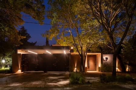 House around the Tree